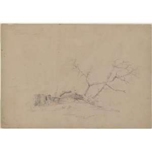   Cropsey   24 x 16 inches   Felled Chestnut Tree