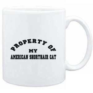   White  PROPERTY OF MY American Shorthair  Cats
