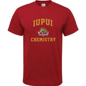  IUPUI Jaguars Cardinal Red Youth Chemistry Arch T Shirt 