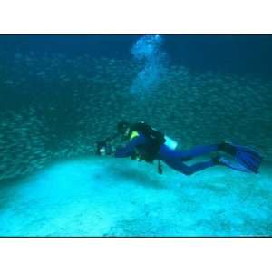 Diver with an Underwater Camera Swims Amidst Smooth Tailed Trevally 