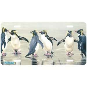 7502 Take Your Partner Penguin License Plates Car Auto Novelty Front 