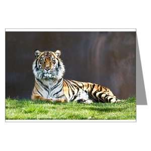    Greeting Cards (20 Pack) Bengal Tiger Stare HD 