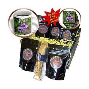   Foxglove, foxglove looking flower   Coffee Gift Baskets   Coffee Gift