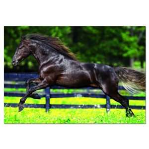 Galloping Horse 500 Piece Puzzle From Educa