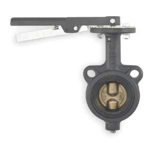   MW222V 2 Butterfly Valve,Wafer,2 In,Viton Liner