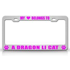  MY HEART BELONGS TO A DRAGON LI Cat Pet Auto License Plate 