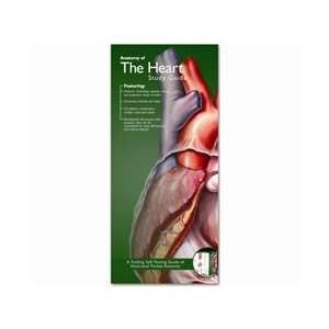 Anatomy of the Heart Pocket Study Guide   2nd Edition  