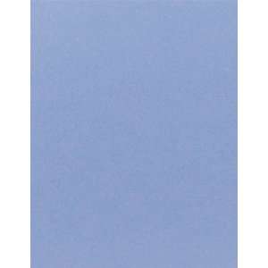   Stock   13 x 20   Stardream Vista (50 Pack) Arts, Crafts & Sewing