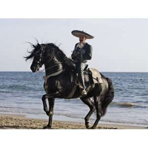  Horseman in Traditional Dress Riding Black Andalusian Stallion 