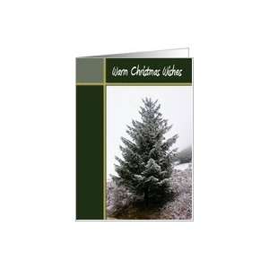  Warm Christmas Wishes   Snowy Tree Card Health & Personal 