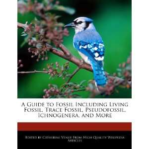  A Guide to Fossil Including Living Fossil, Trace Fossil 