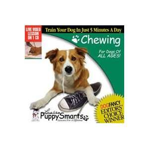  Chewing Training by Puppy Smarts
