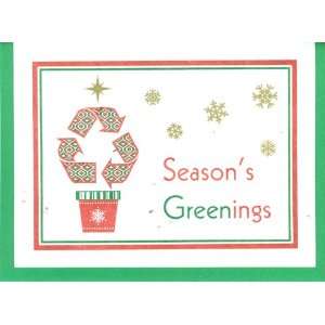  Grow A Note® Holiday Seasons Greenings Card 4 pack 