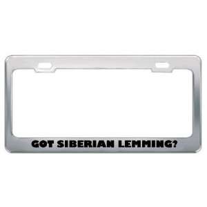 Got Siberian Lemming? Animals Pets Metal License Plate Frame Holder 