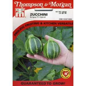   & Morgan 4990 Zucchini Eclipse Seed Packet Patio, Lawn & Garden