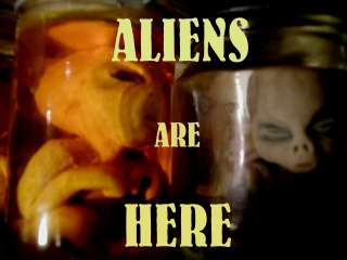 ALIEN BABY IN JAR UFO AREA 51, ALIEN FETUS, ROSWELL #79  