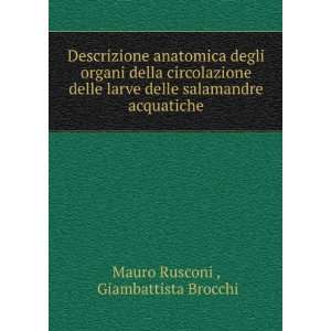   salamandre acquatiche Giambattista Brocchi Mauro Rusconi  Books