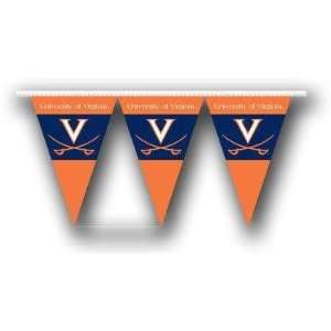  VIRGINIA 25 FT PARTY FLAGS