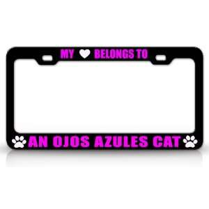 MY HEART BELONGS TO AN OJOS AZULES Cat Pet Auto License Plate Frame 