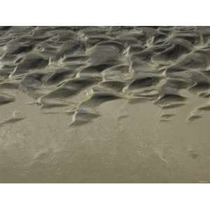 Pattern of Mud Near a Stream Bed in the Bisti Wilderness, an Arid Area 