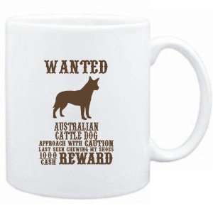   Australian Cattle Dog   $1000 Cash Reward  Dogs