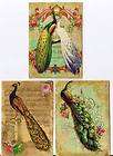 Vintage inspired peacock tag blank small card ATC altered art set of 6