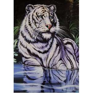 New Signature Collection Queen Size Wading White Tiger Korean Mink 