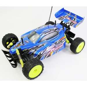  110 Scale Off Road Extreme Racing Buggy The Rogster Born 