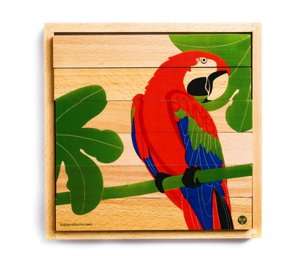   Discovering 4  in 1 Jungle Wooden Puzzle by Kid O