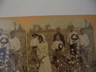 African American Black Americana Cotton Pickers Kilburn Stereoview 