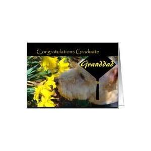   , Graduation, Granddad, Terrier in Graduation Cap Smells Flowers Card