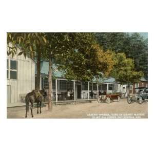  Arsenic Springs, Arkansas Premium Poster Print, 12x18 