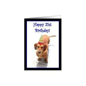  Happy 21st Birthday Dachshund Card Toys & Games