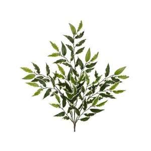  27 Smilax Spray x3 w/91 Lvs. Variegated (Pack of 24)