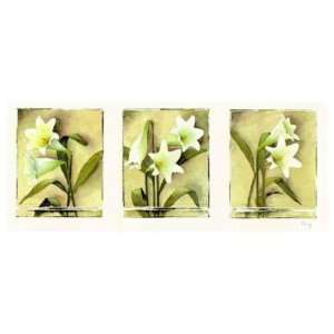  White Lilies by Franz Heigl. Size 28.75 inches width by 