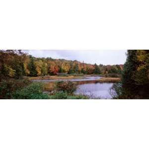  Trees Around a River, Moose River, Old Forge, Herkimer 