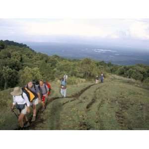 Trekkers Beginning Trek up Mount Meru, Arusha National Park, Tanzania 