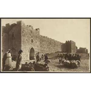  Sheep market,Herods Gate,city walls,Jerusalem,c1900