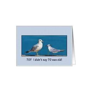  Birthday, 70th, Gull and Tern Birds Card Toys & Games