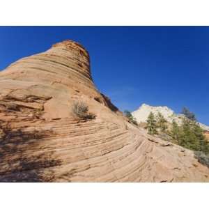 Slick Rock, Zion National Park in Autumn, Utah, United 