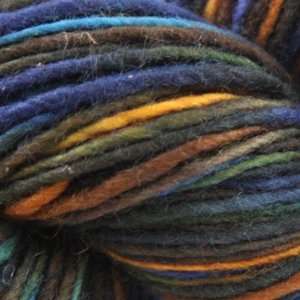   del Uruguay Wool Clasica Space Dyed [Stellar] Arts, Crafts & Sewing