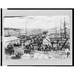  Photo Wharf in Auckland, New Zealand, Aug. 11, 1908 1908 