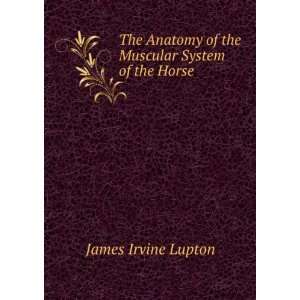   of the Muscular System of the Horse James Irvine Lupton Books