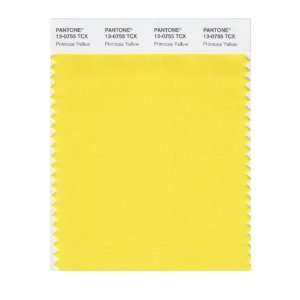  PANTONE SMART 13 0755X Color Swatch Card, Primrose Yellow 