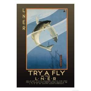  Try a Fly Giclee Poster Print by V.l. Danvers, 12x16
