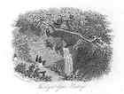 UK Sussex. HASTINGS. Fairlight Glen. Old print. c.1863