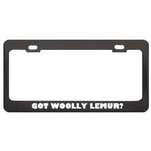 Got Woolly Lemur? Animals Pets Black Metal License Plate Frame Holder 