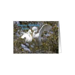  Sister birthday, Egrets Nest Building Card Health 