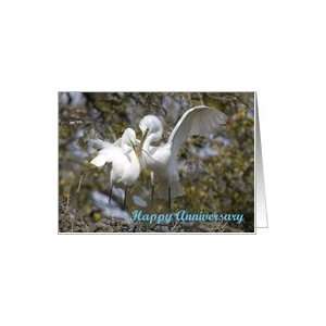  Anniversary, Great Egrets nest building Card Health 