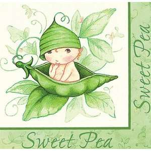  Lets Party By Creative Converting Sweet Pea Lunch Napkins 